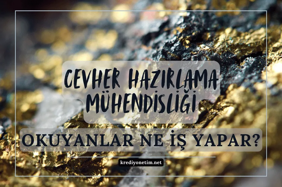 Cevher hazırlama mühendisliği